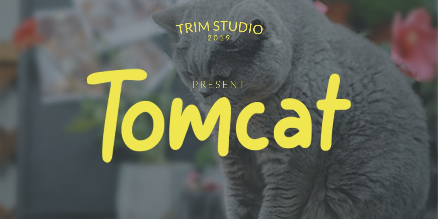 Przykład czcionki Tomcat